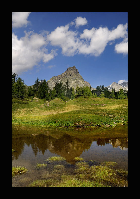 _DSC1028_Copy-copia-2.jpg