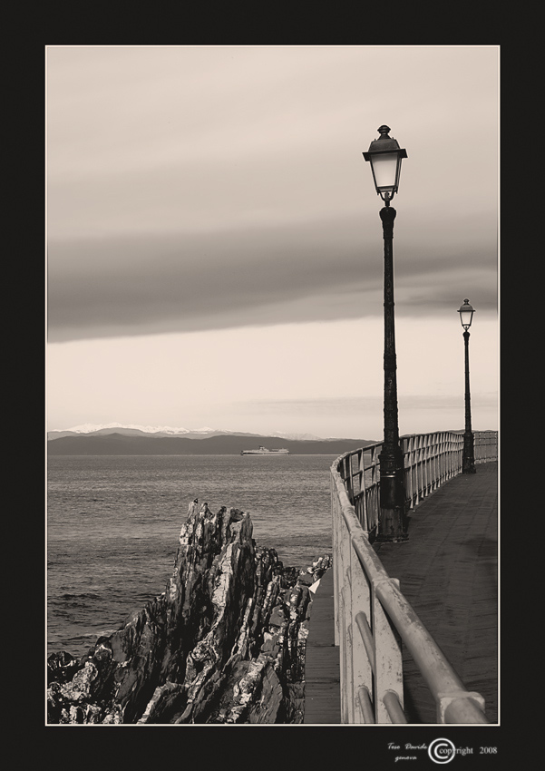 _DSC1079-nervi-mod-B&W+S.jpg