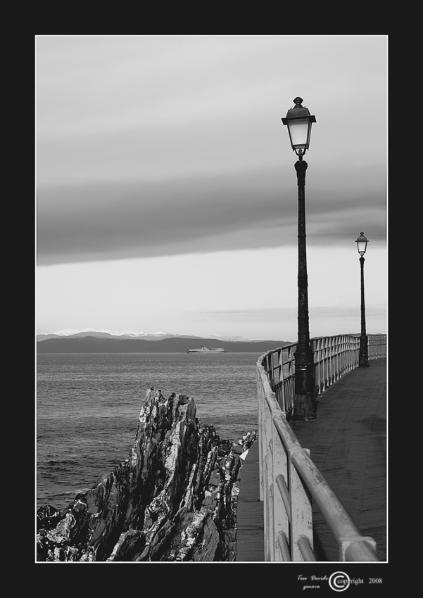 _DSC1079-nervi-mod-BW-W.jpg