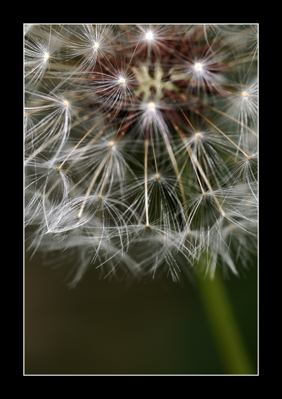 _DSC1114-crisoffia-mod-crop.jpg