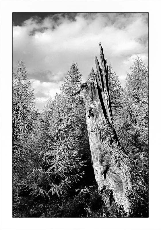 _DSC1122_Copy.jpg