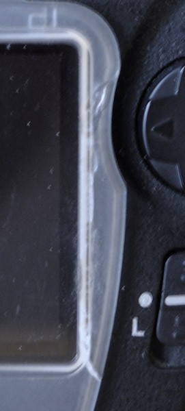 _DSC1162crop.jpg