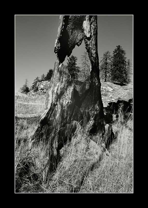 _DSC1318_Copy.jpg