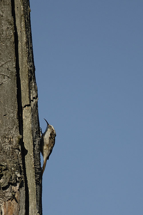 _DSC14500521.jpg