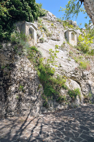 _DSC1799.gif
