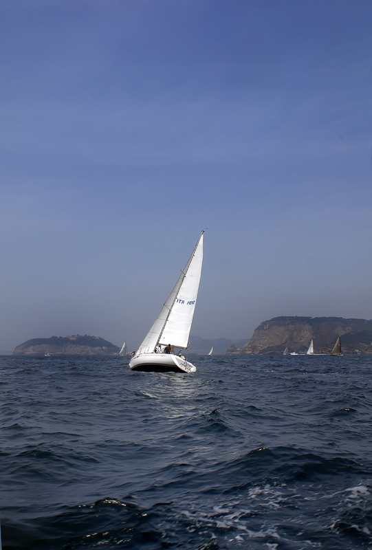 _DSC1962.jpg