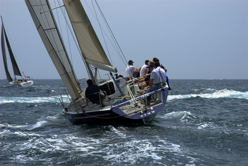 _DSC1981.jpg