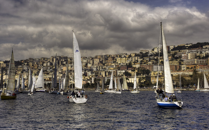 _DSC2171tm.jpg