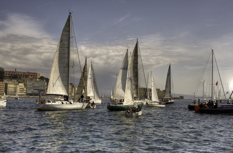 _DSC2206tm.jpg