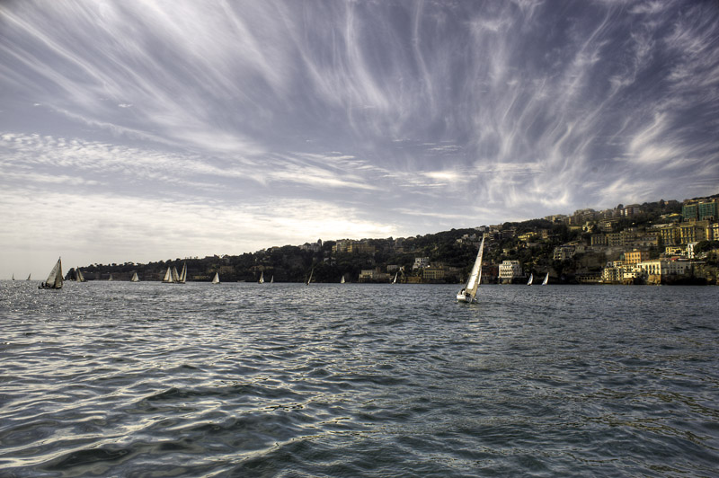 _DSC2287tm.jpg