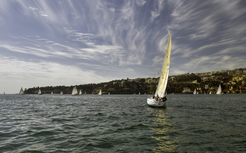 _DSC2289tm.jpg