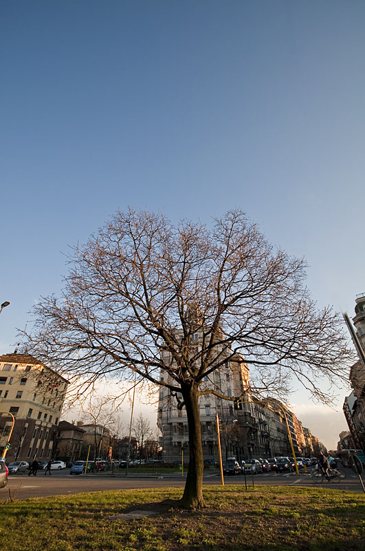 _DSC2296_small.jpg