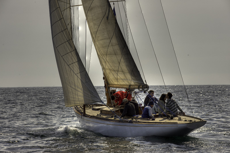 _DSC2333tm.jpg