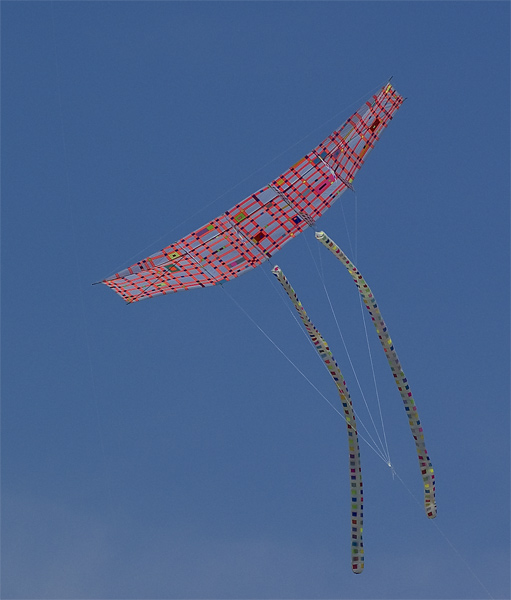 _DSC2394-copia.jpg
