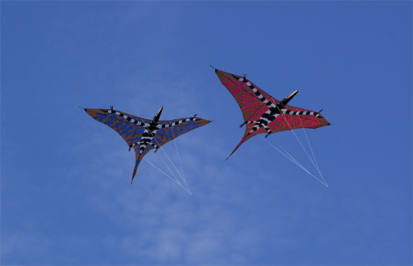_DSC2396-copia.jpg
