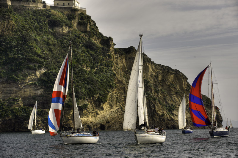_DSC2401tm.jpg