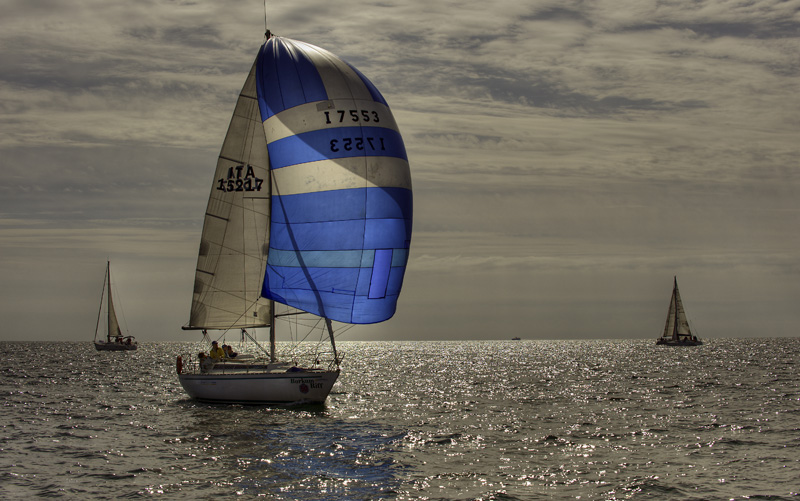 _DSC2402tm.jpg