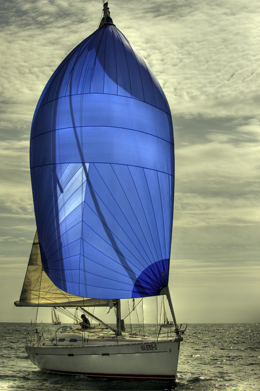 _DSC2403tm.jpg