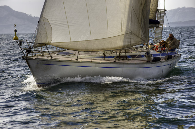 _DSC2451tm.jpg