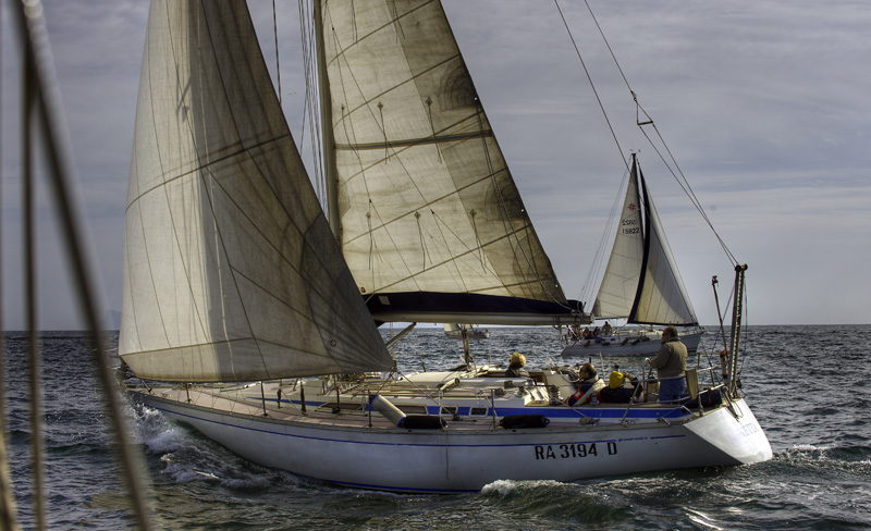 _DSC2455tm.jpg