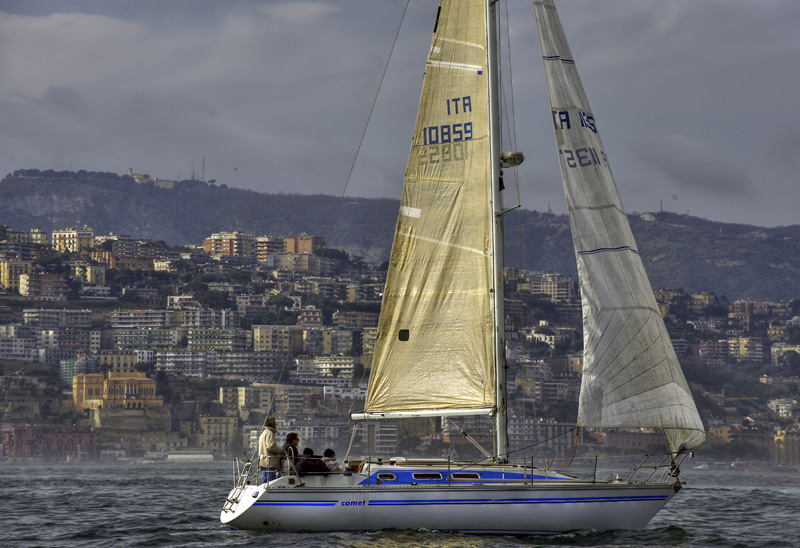 _DSC2483tm.jpg