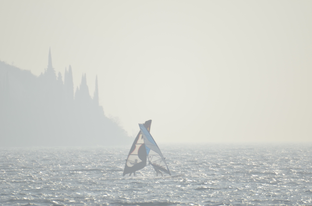 _DSC2579resize.jpg