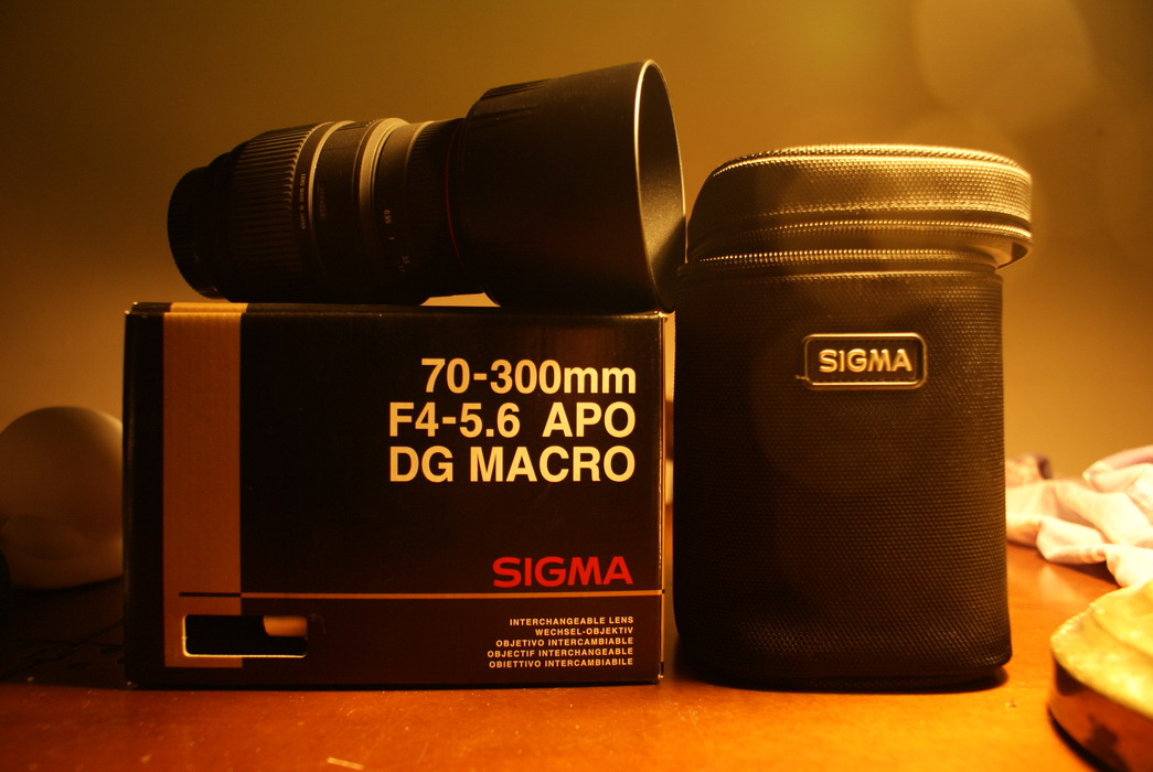 _DSC2629_ridimensionare.JPG
