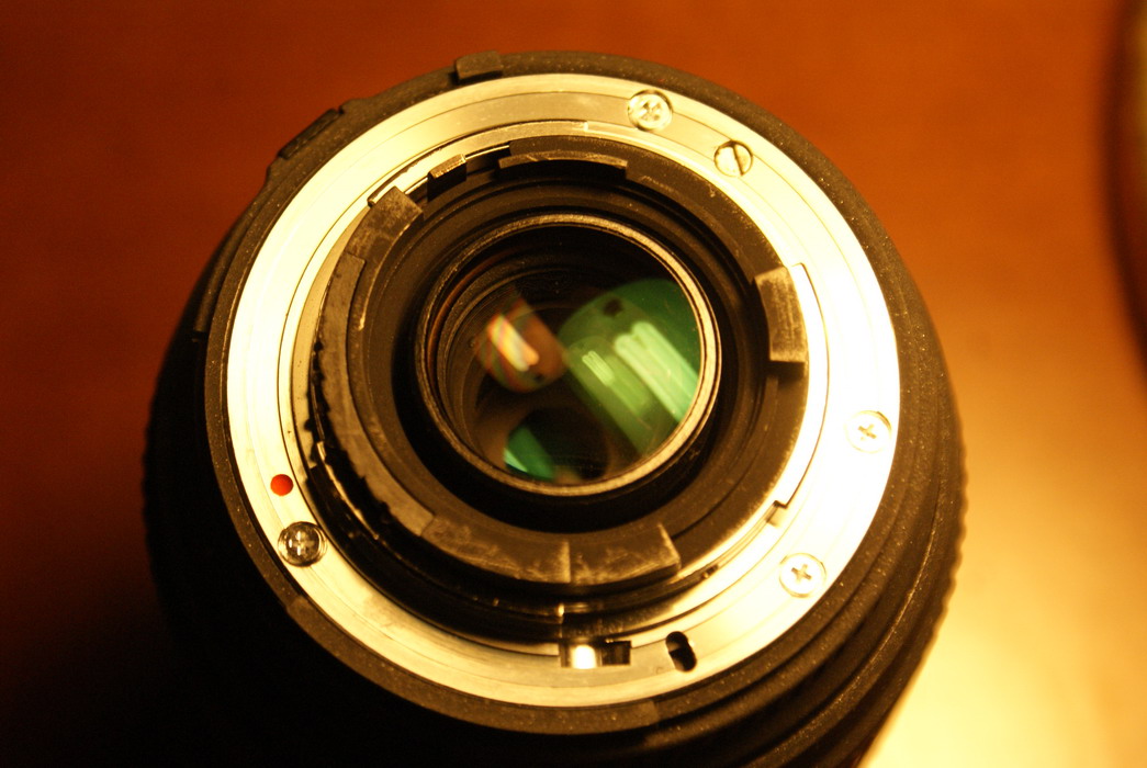 _DSC2633_ridimensionare.JPG