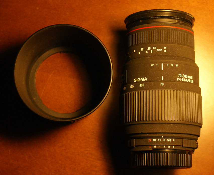 _DSC2634_ridimensionare.jpg