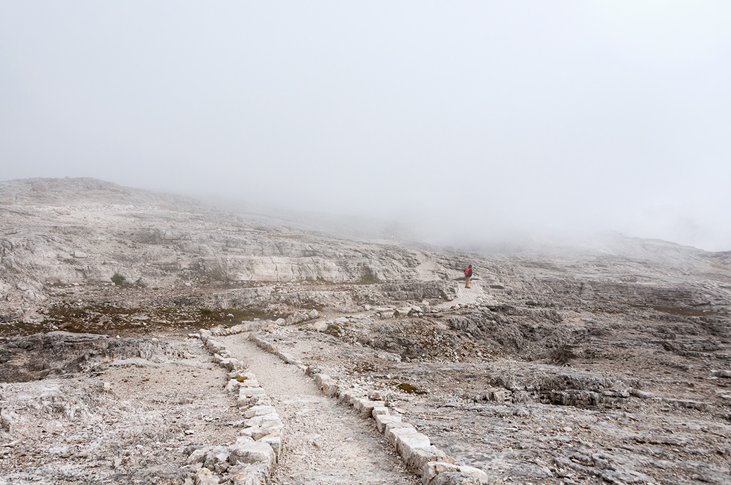 _DSC27521b-web.jpg