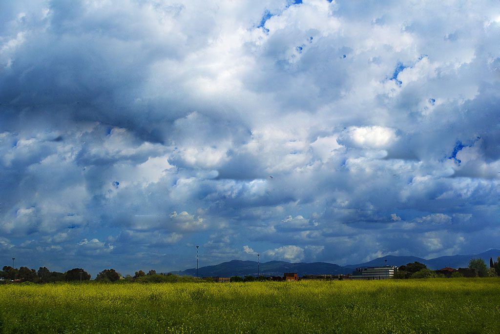_DSC3307 copiap.jpg