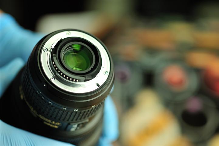 _DSC3531 (Small).jpg