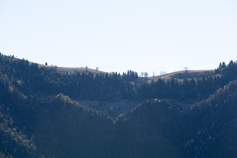 _DSC3668.jpg