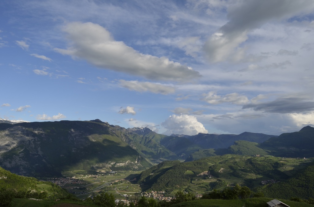_DSC4423resize.jpg