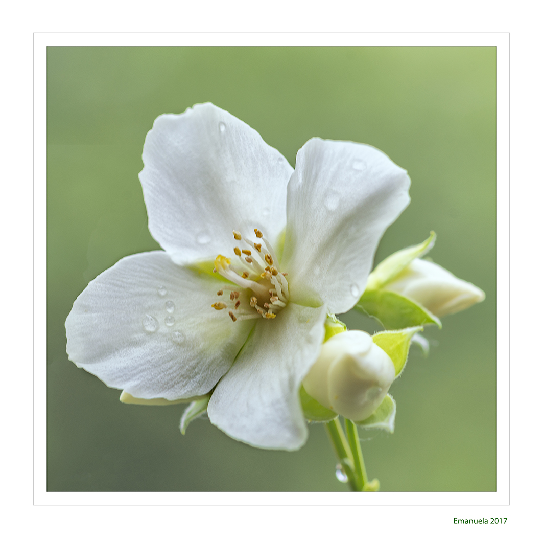 _DSC4851d-web.jpg