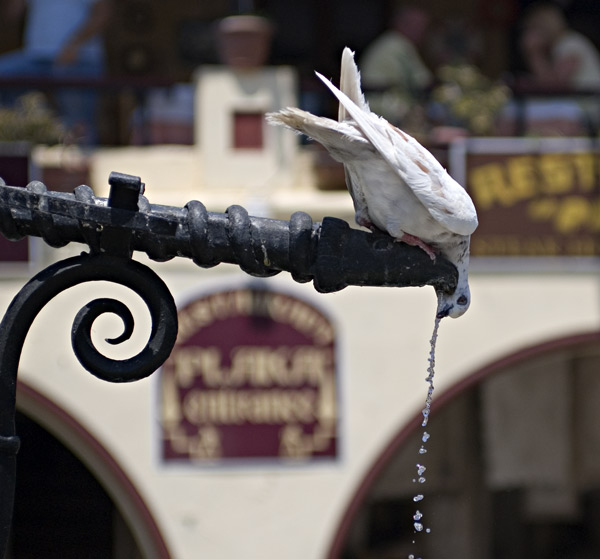_DSC5115-copyrotated.jpg