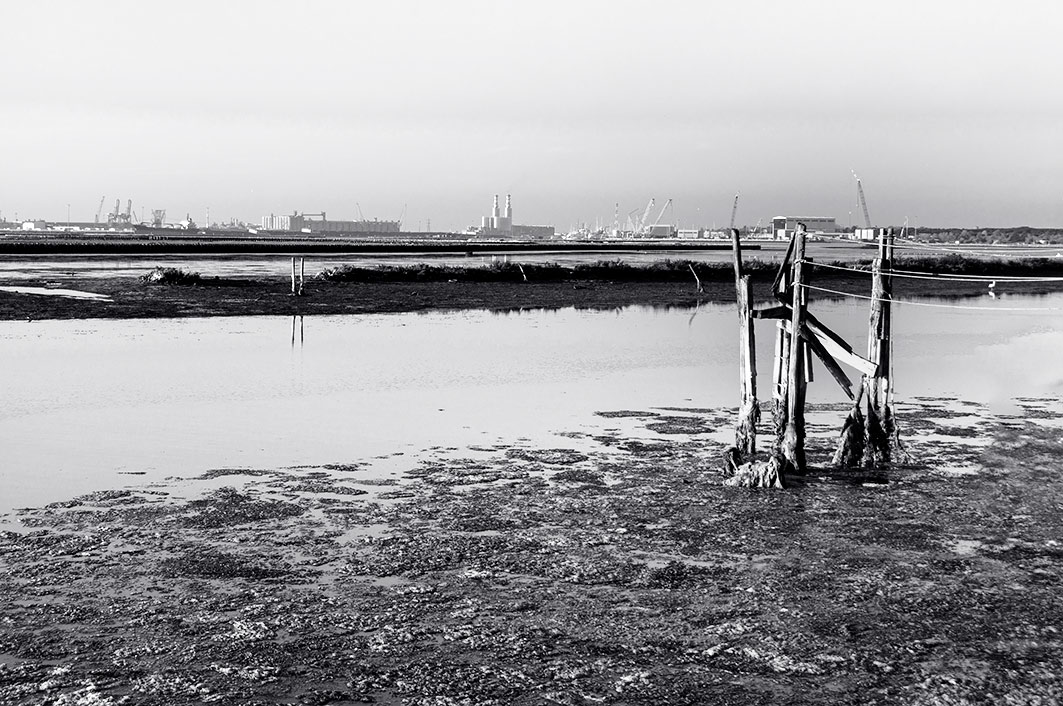 _DSC5228-contrast-web.jpg
