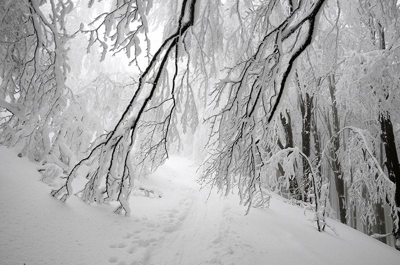 _DSC5263.1.jpg