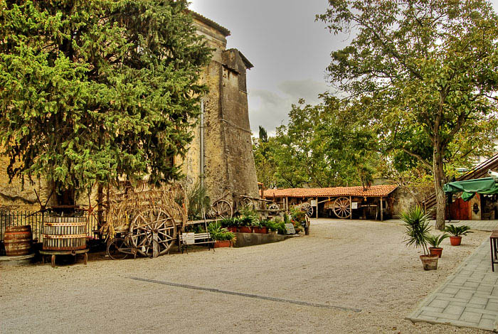_DSC5942hdr.jpg