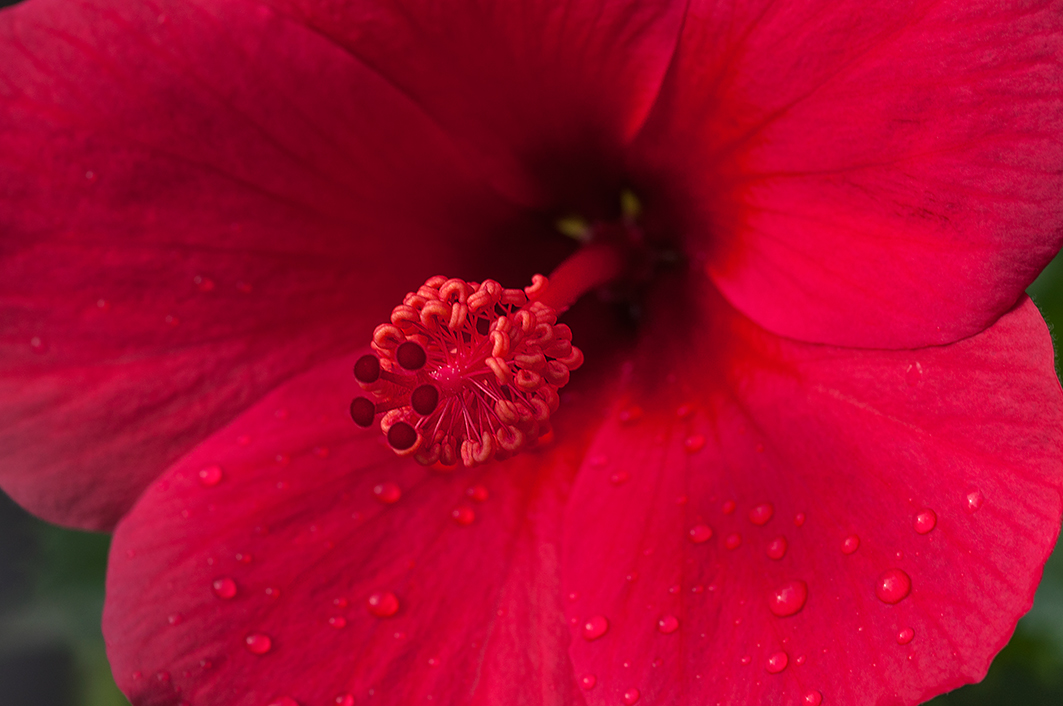 _DSC6258b-web.jpg