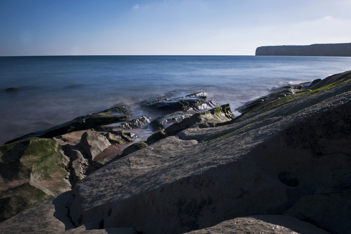 _DSC7671.jpg