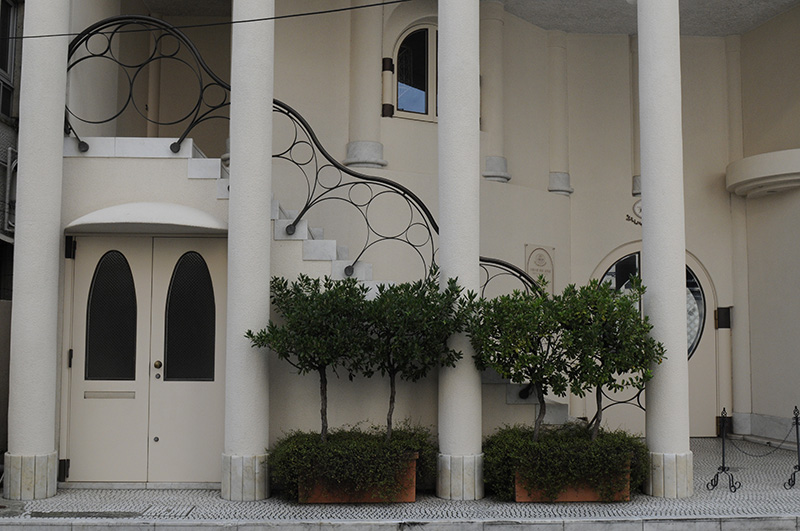 _DSC7852.copia.jpg