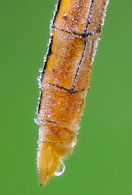 _DSC827429.jpg