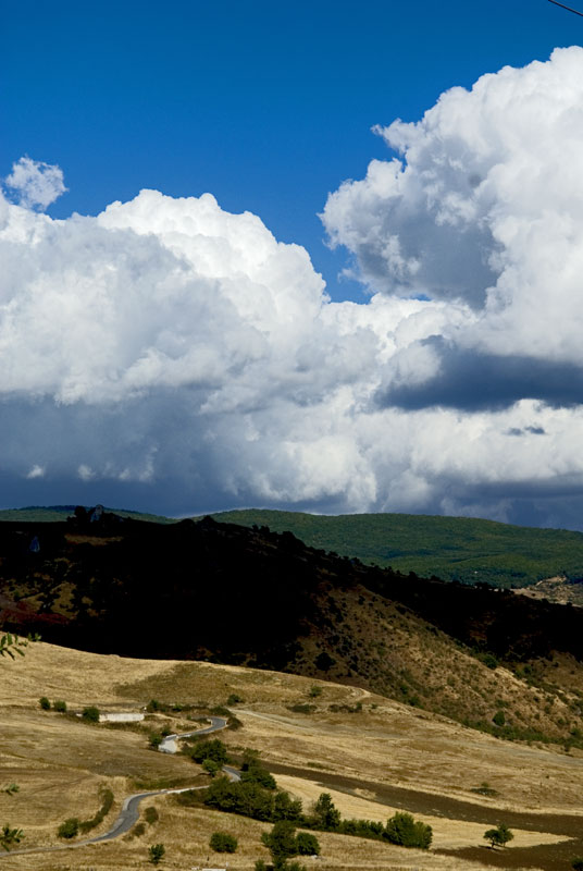 _DSC8625.jpg