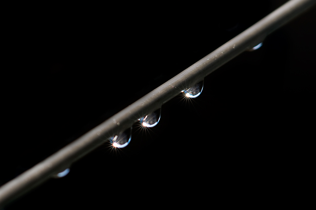 _DSC8758bweb.jpg