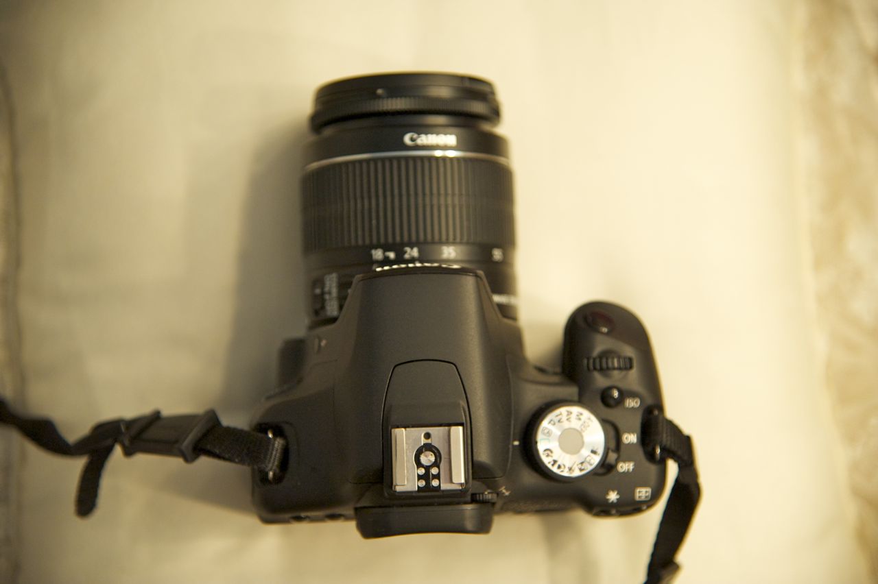 _DSC9058.jpg