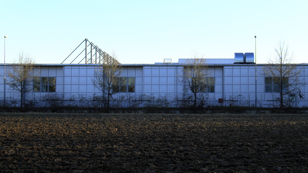 _DSF0175.jpg