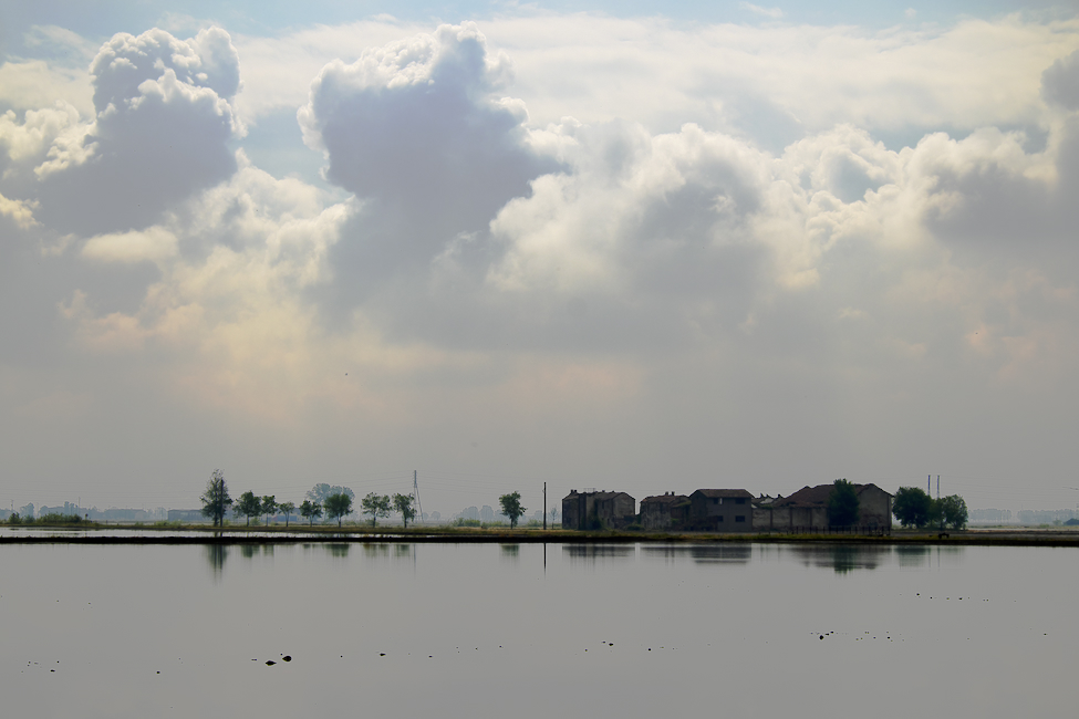 _DSF0722bis.jpg