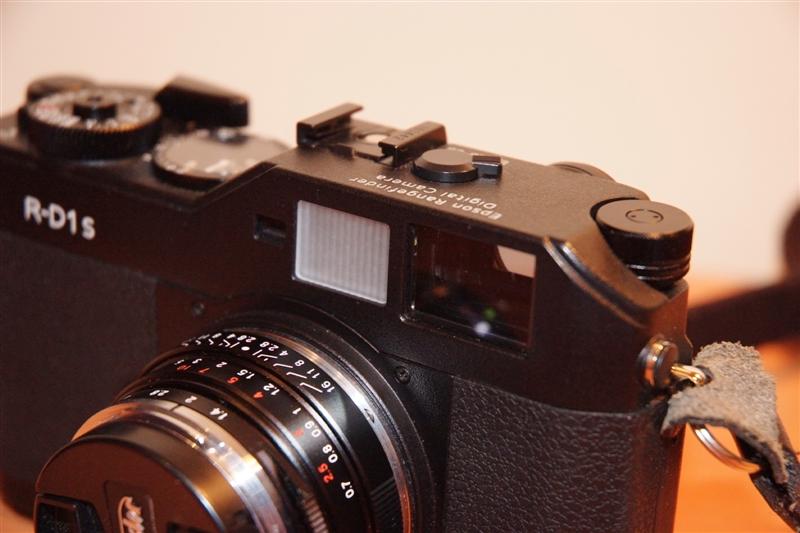 _DSF0919 (Medium).JPG