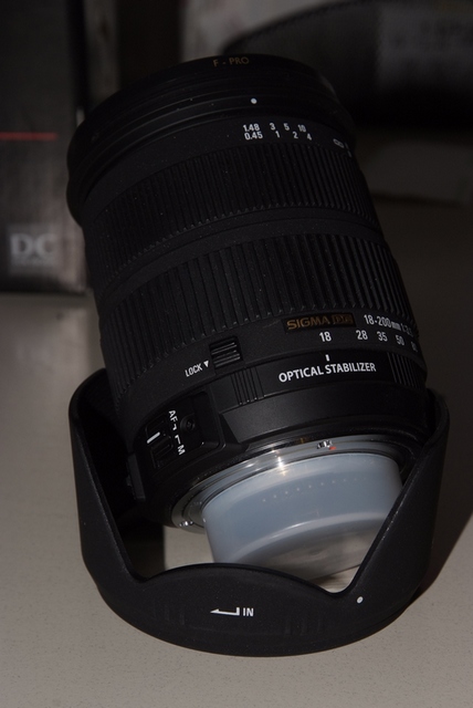 _DSF3160_R.jpg